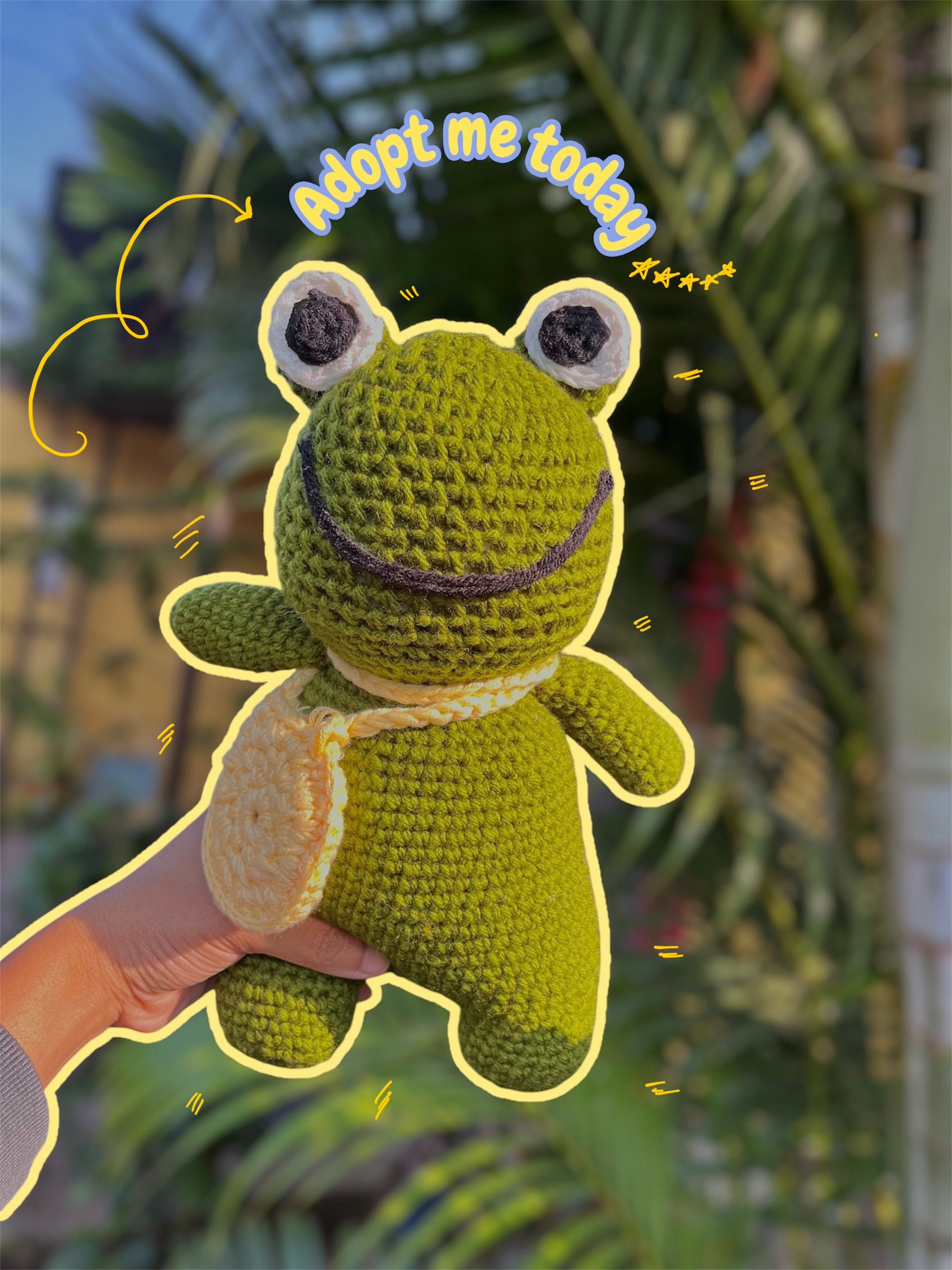 Fridoo - The Frog